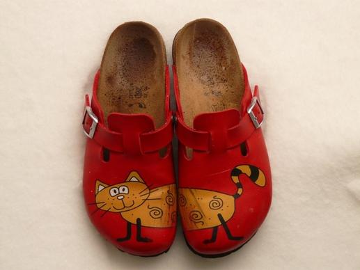 slippers birkenstock cat