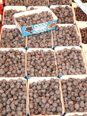 sloes berries market
