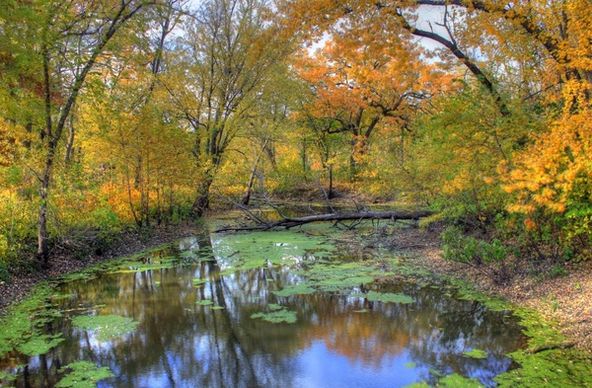 small autumn stream at merrick state park wisconsin