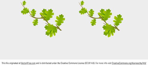 small branch leaves vector