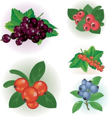 small red berries clip art