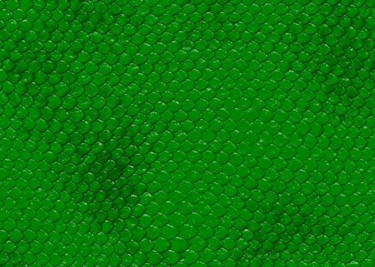 snake skin texture 01 hd picture