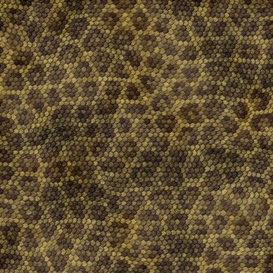 snake skin texture 04 hd pictures