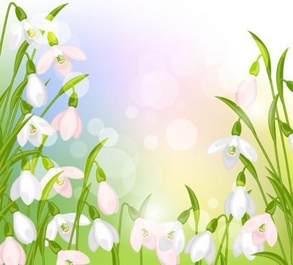 snowdrops flowers with shiny background vector