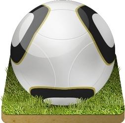 Soccer ball grass