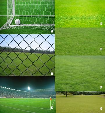 soccer field turf 1