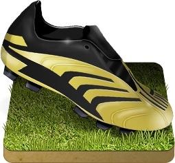 Soccer shoe grass