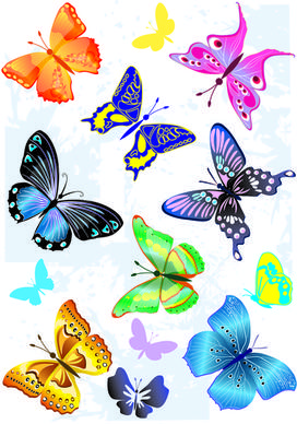 sorts of butterflies clip art vector