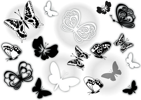 sorts of butterflies clip art vector