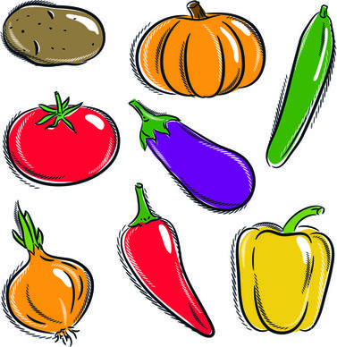 sorts of hand drawing vegetables vector set