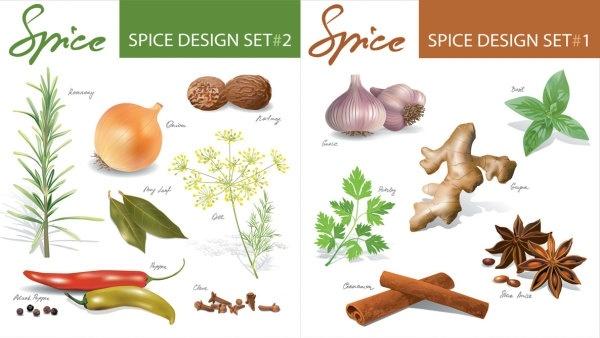 spices vector