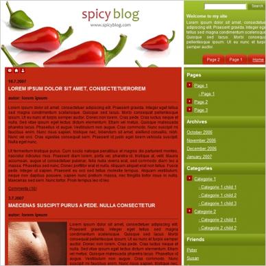 Spicy Blog Template