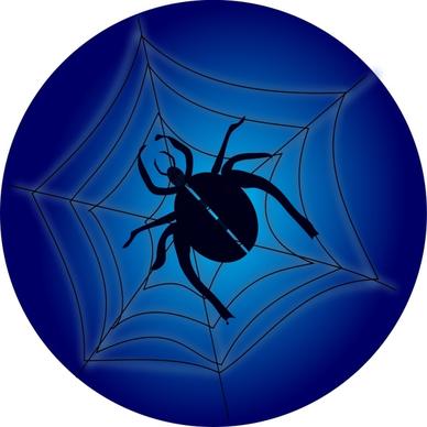 Spider_on_web