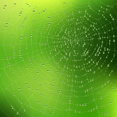 spider web background 03 vector