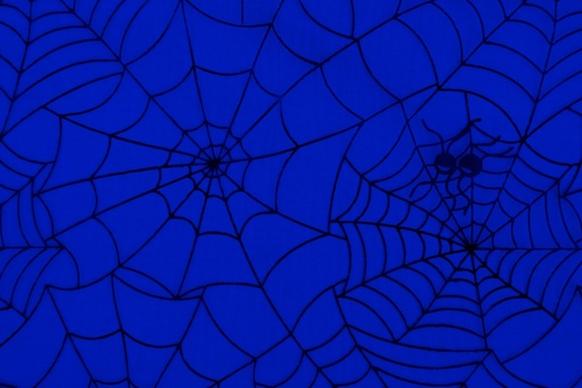 spider web pattern