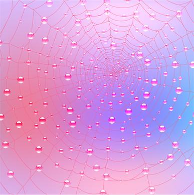 spider web with dewdrop background