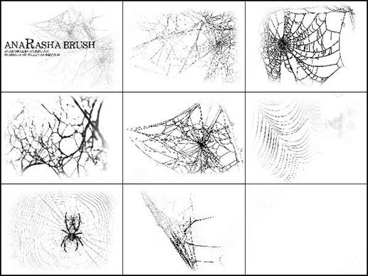 spiders web brush