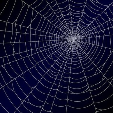 spiderweb design elements vector