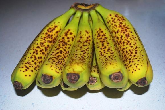 spotted bananas