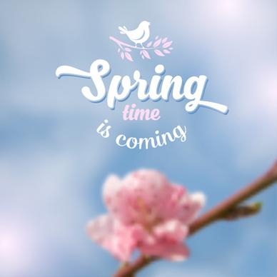 spring flower blurred background vector set