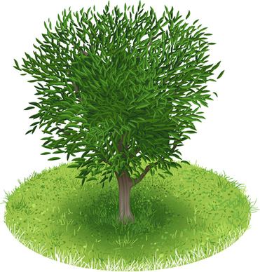spring green tree design vector graphic