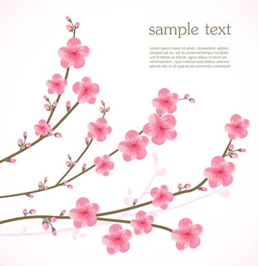 spring pink cherry vector background