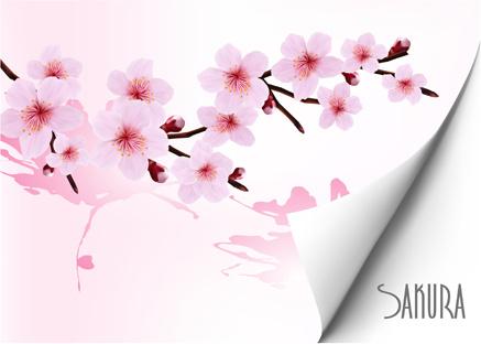 spring pink flower vector background graphics