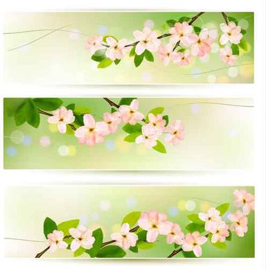spring pink flowers banner vector