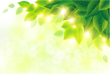 spring sunlight with green leaves background vector