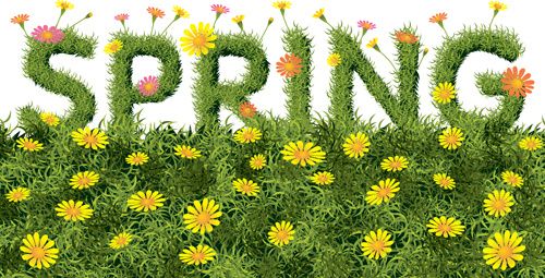 spring yellow flowers art background