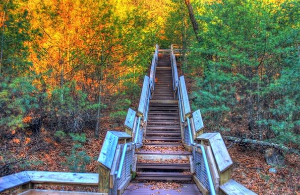 staircase to the top at roche a cri state park