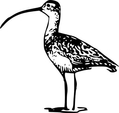 Standing Bird Billed clip art