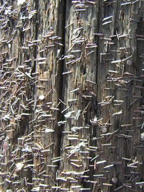 staples in a pole