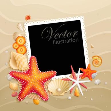starfish shell 05 vector