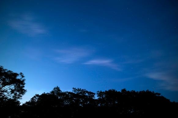 stars clouds trees night