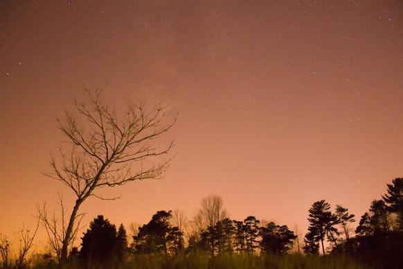 stars in the sky at kohler andrae state park wisconsin