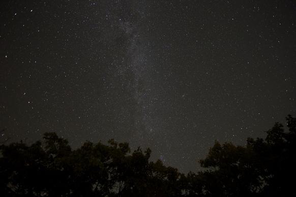 stars milky way trees night skyscape