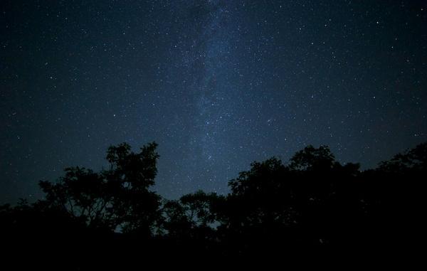 stars night milky way trees