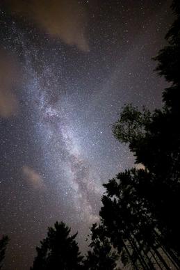 stars night sky milky way trees
