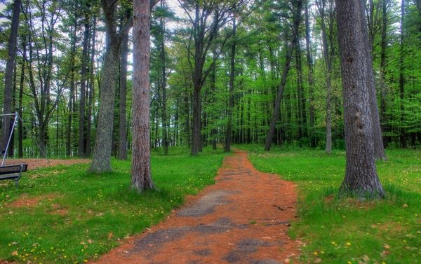 start of the path at council grounds state park wisconsin