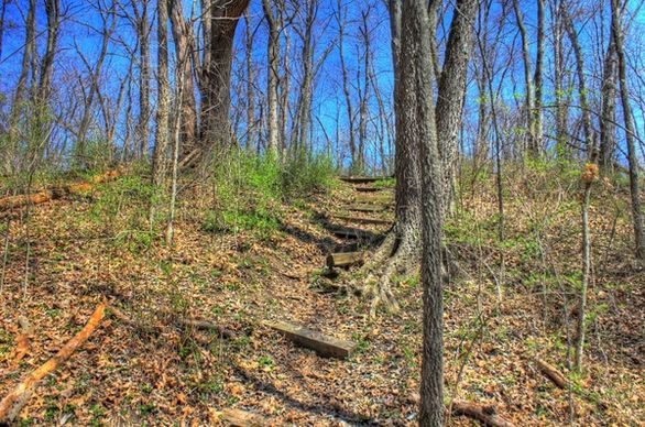 steps up the hiking trail at sangchris lake state park illinois