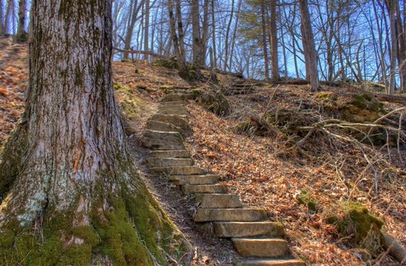 steps up the hill at maquoketa caves state park iowa