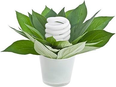 stock photo of green plants and energysaving lamps
