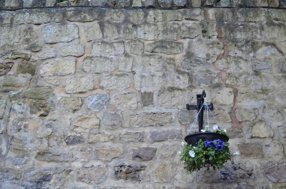 stone wall and flowers
