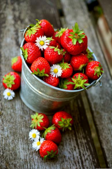 strawberries backdrop picture elegant closeup realistic