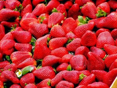 strawberries bulk backdrop picture elegant closeup