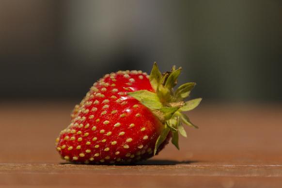 strawberry erdbeere 208365
