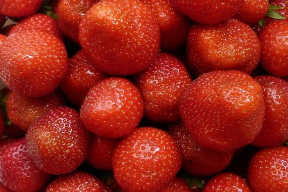strawberry fruits fruit