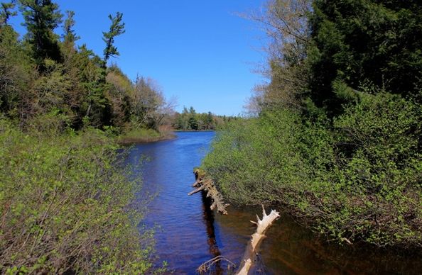 stream flowing into superior at porcupine mountains state park michigan