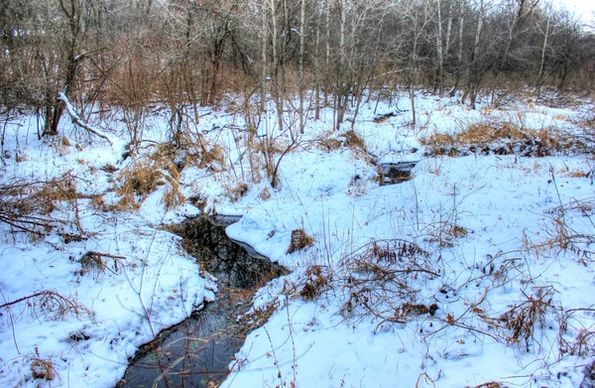 stream in the winter in madison wisconsin